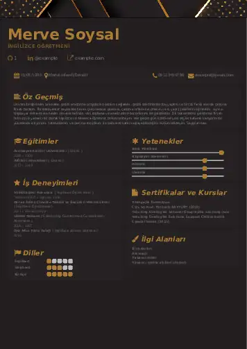 Yabancı Dil Öğretmeni Cv Örnekleri cv indir